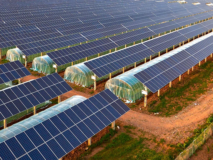 Vignette Agrivoltaïsme